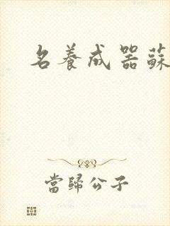 名养成器苏沫沫