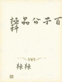 极品公子百度百科