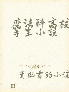 魔法科高校的劣等生小说