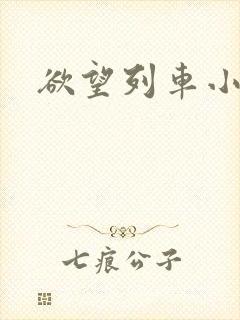 欲望列车小说
