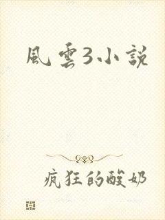 风云3小说