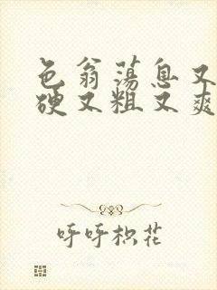 色翁荡息又大又硬又粗又爽