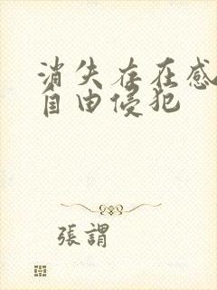 消失存在感消失自由侵犯