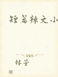 短篇辣文小说