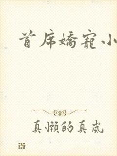 首席娇宠小情人