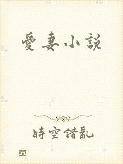 爱妻小说
