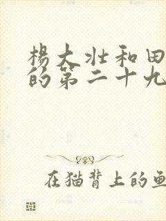 杨大壮和田桂花的第二十九