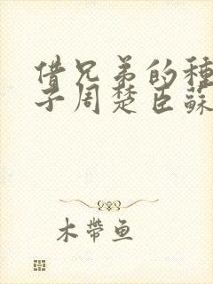 借兄弟的种生孩子周楚臣苏糖