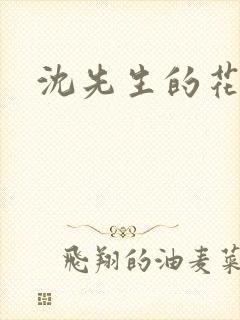 沈先生的花式调