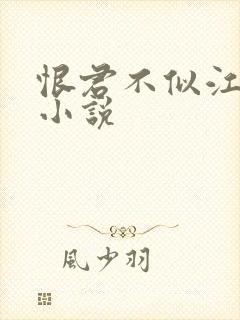 恨君不似江楼月小说