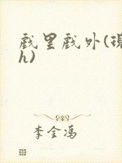 戏里戏外(现场h)