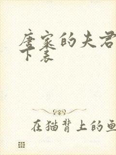 唐家的夫君们帘下衾