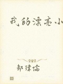 我的漂亮小后妈