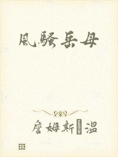 风骚岳母