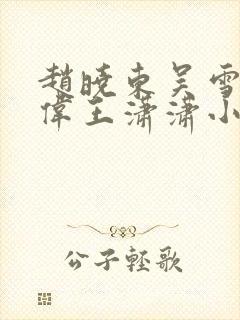 赵晓东吴雪晴郑伟王潇潇小说名字