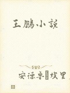 王鹏小说