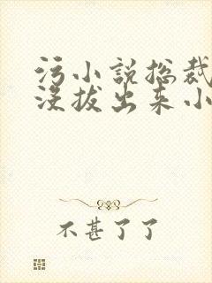 污小说总裁整夜没拔出来小说在线阅读