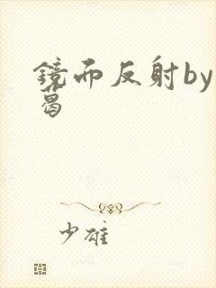 镜面反射by九葛