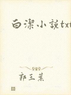 白洁小说txt