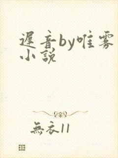 迟音by唯雾的小说