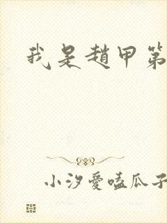 我是赵甲第小说