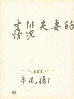 才川夫妻的恋爱情况