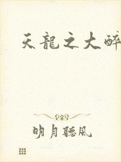 天龙之大醉侠