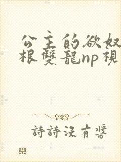 公主的欲奴h四根双龙np视频