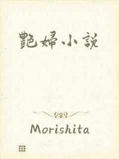 艳妇小说