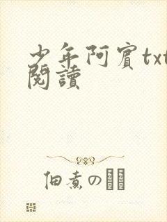 少年阿宾txt阅读