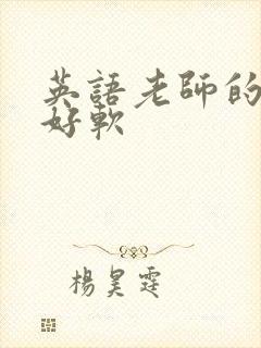 英语老师的兔子好软