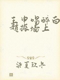 王申喝醉白洁被赵振墙上