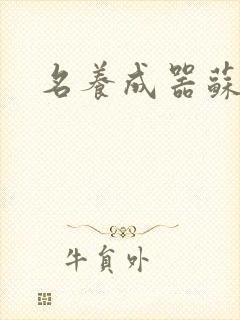 名养成器苏沫沫