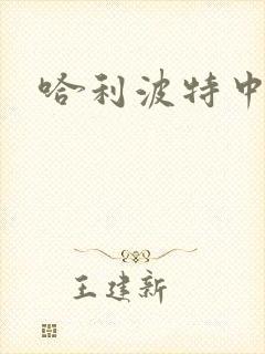 哈利波特中文版