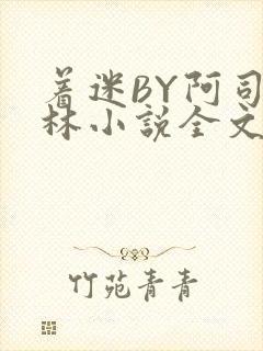 着迷BY阿司匹林小说全文免费阅读