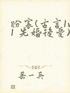 盼寡(古言1v1 先婚后爱)