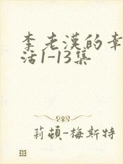 李老汉的幸福生活1-13集