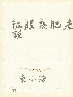 征服熟肥老妇小说
