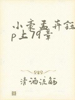 小豪孟卉钰慧三p上79章