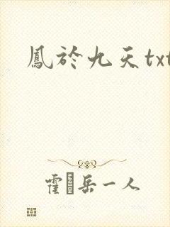 凤于九天txt
