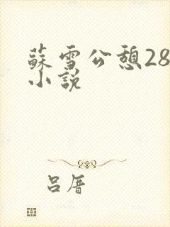 苏雪公憩28篇小说