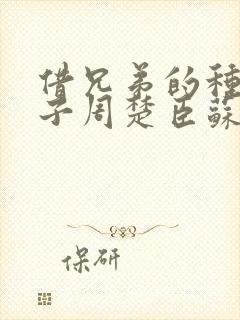 借兄弟的种生孩子周楚臣苏糖