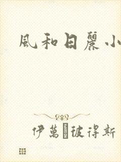 风和日丽小说