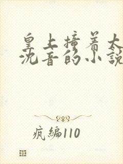 皇上撞着太子妃沈音的小说叫什么