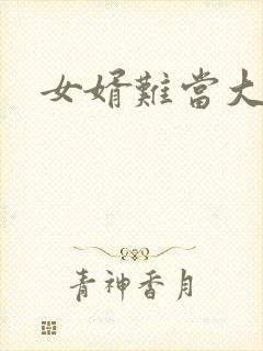 女婿难当大结局