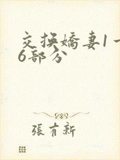 交换娇妻1一36部分