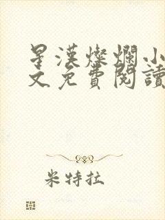 星汉灿烂小说全文免费阅读