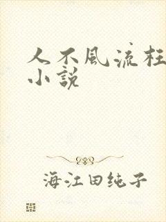 人不风流枉少年小说