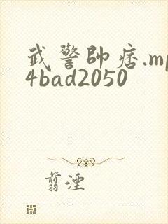 武警帅痞.mp4bad2050