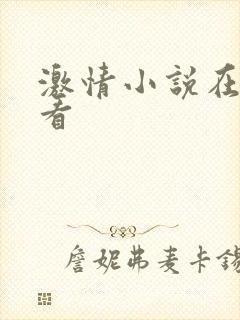 激情小说在线观看